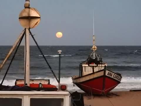Los Nogales Punta Del Diablo Eksteriør billede